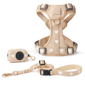 NoMad Adjustable Dog Walking Set - Icon