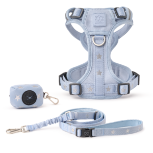 NoMad Adjustable Dog Walking Set - Rockstar Hudson