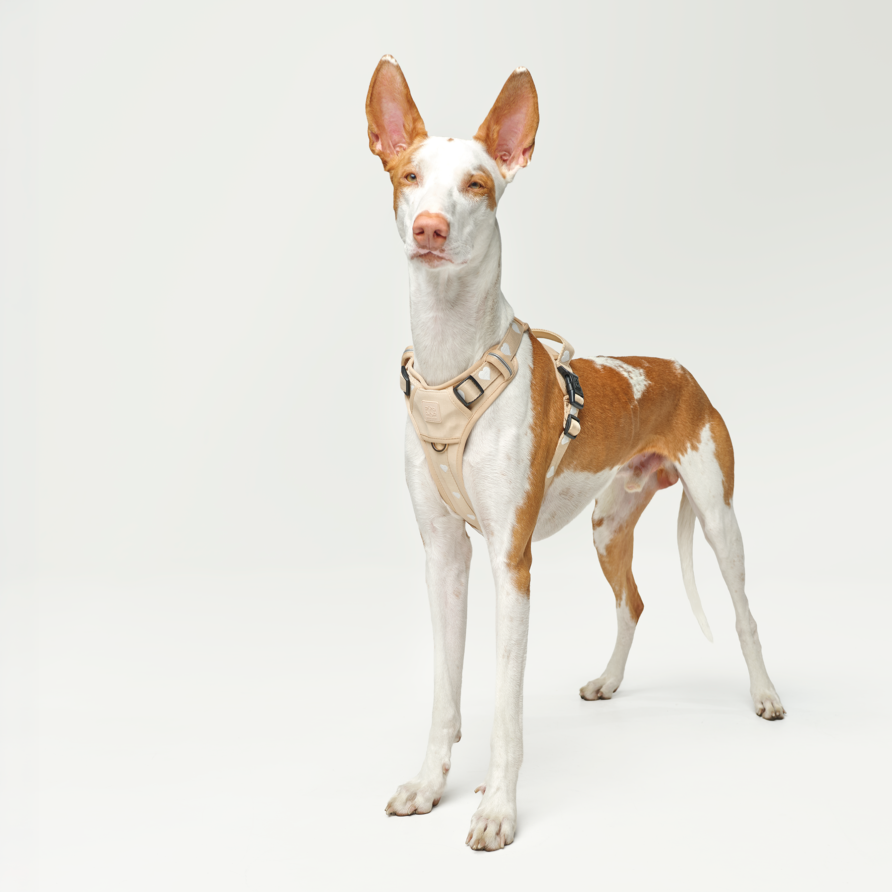 The NoMad Adjustable Luxe Harness - Icon - Image 6