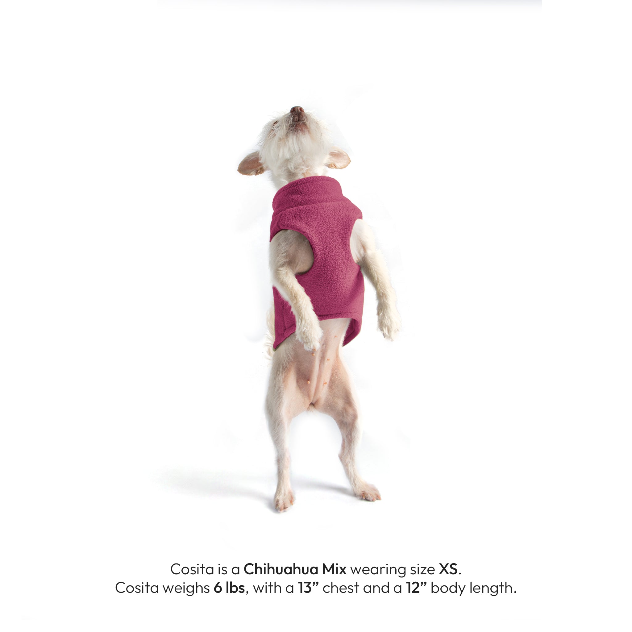 #70126 - Zip Up Fleece Dog Vest 2 - Image 15