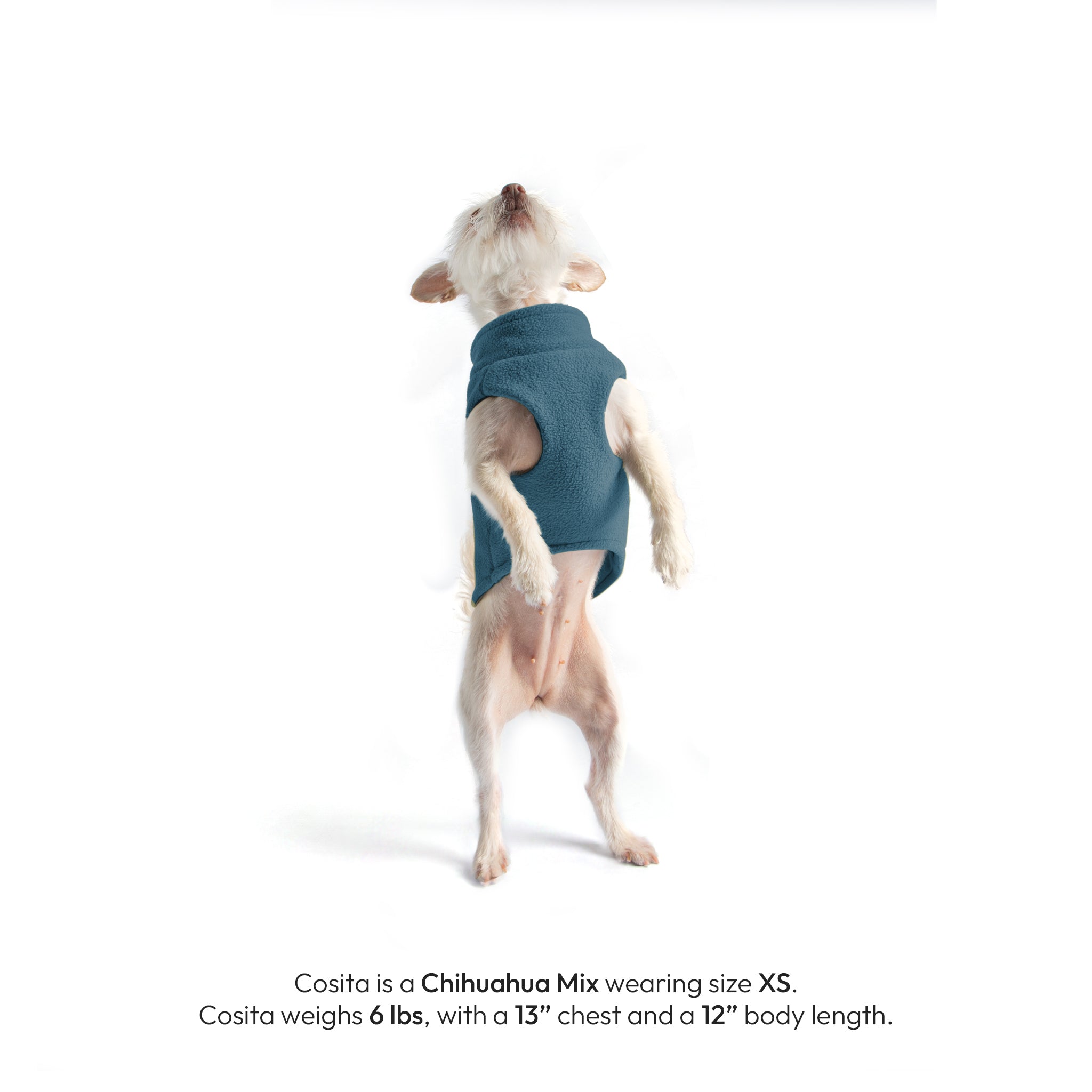 #70126 - Zip Up Fleece Dog Vest 2 - Image 3