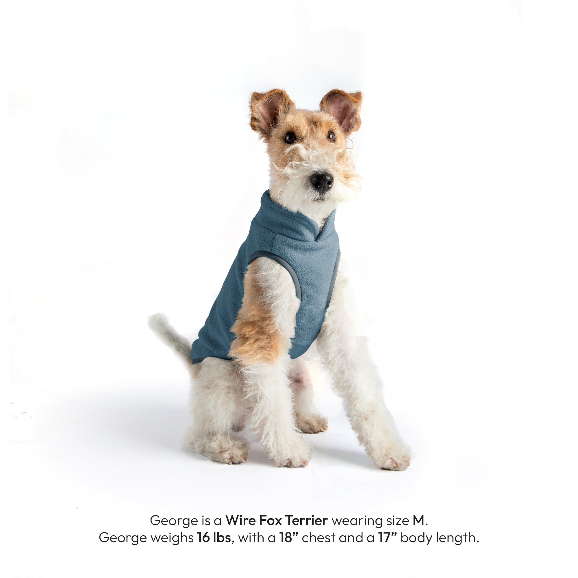 #70226 - Everyday Fleece Dog Vest - Image 19