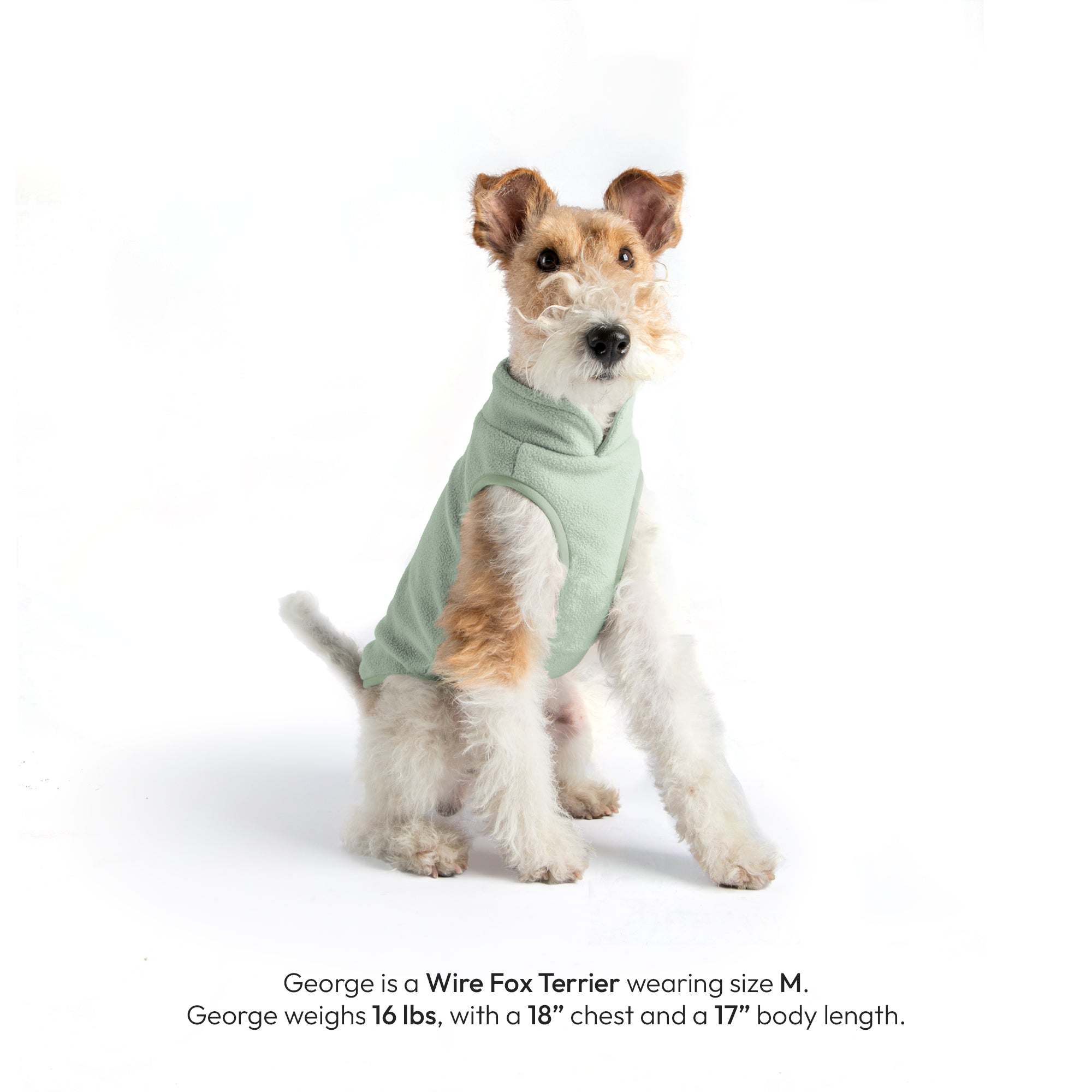 #70226 - Everyday Fleece Dog Vest - Image 3