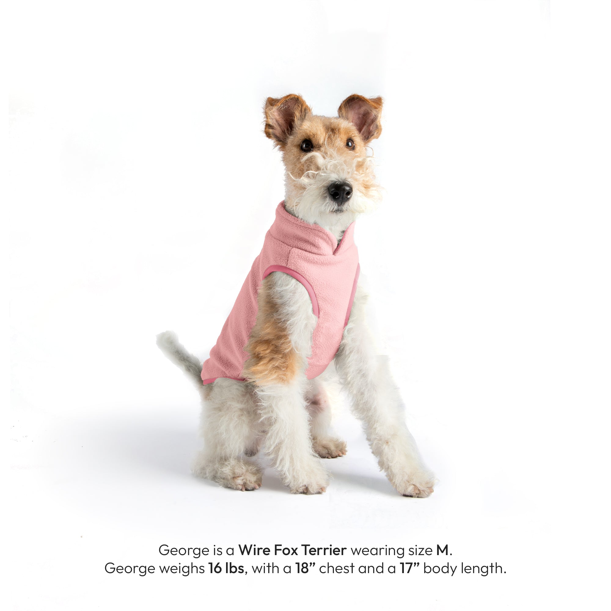 #70226 - Everyday Fleece Dog Vest - Image 23