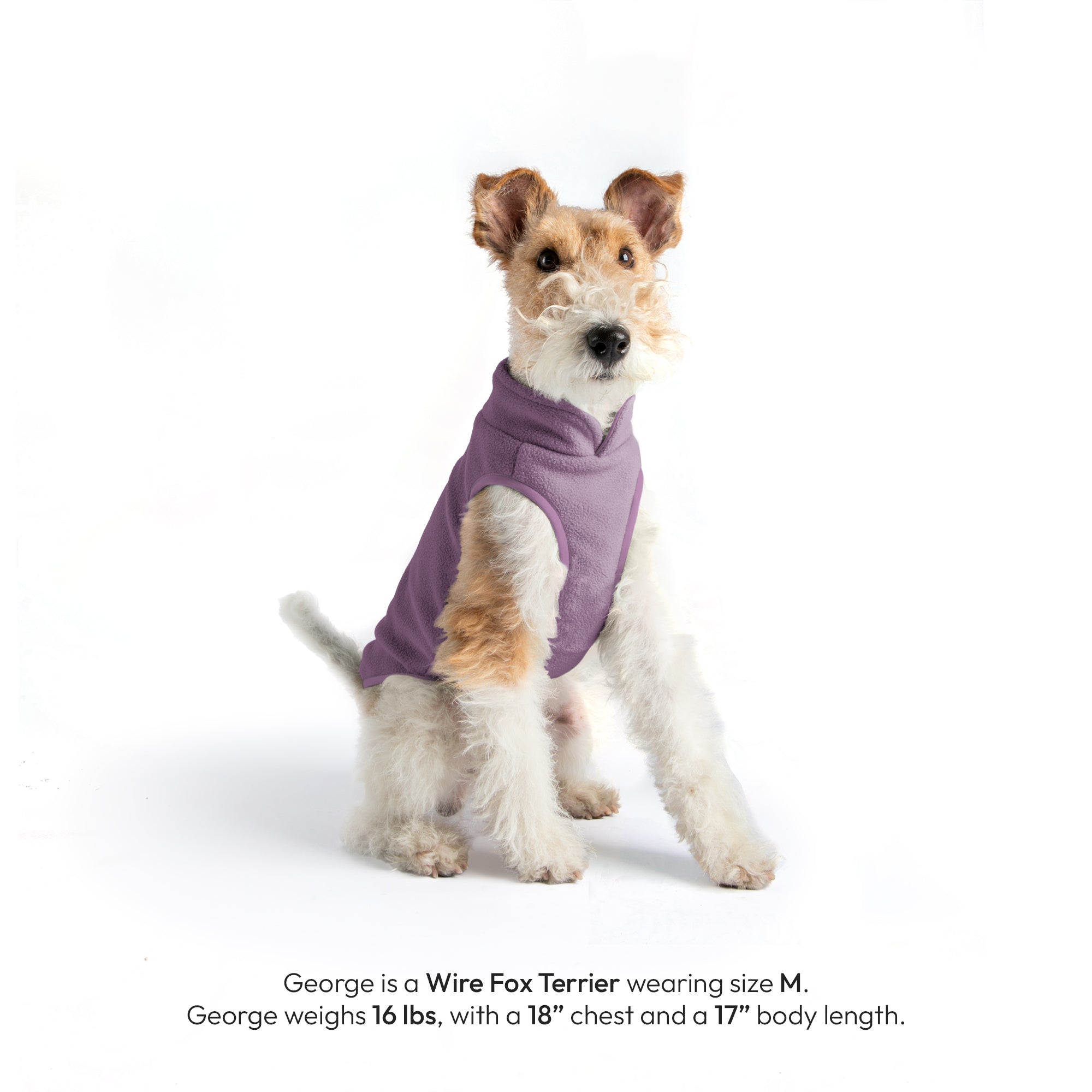 #70226 - Everyday Fleece Dog Vest - Image 15