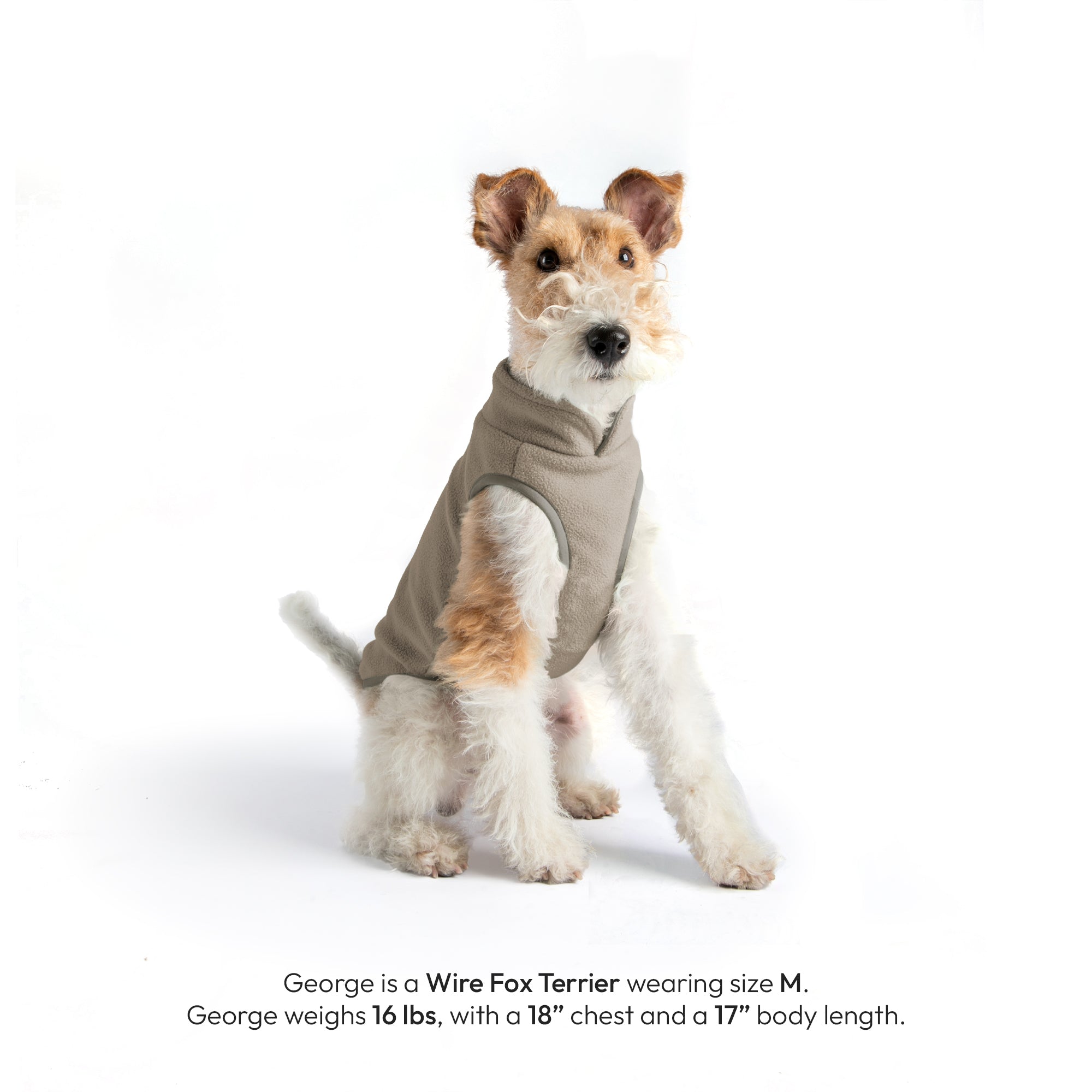 #70226 - Everyday Fleece Dog Vest - Image 27