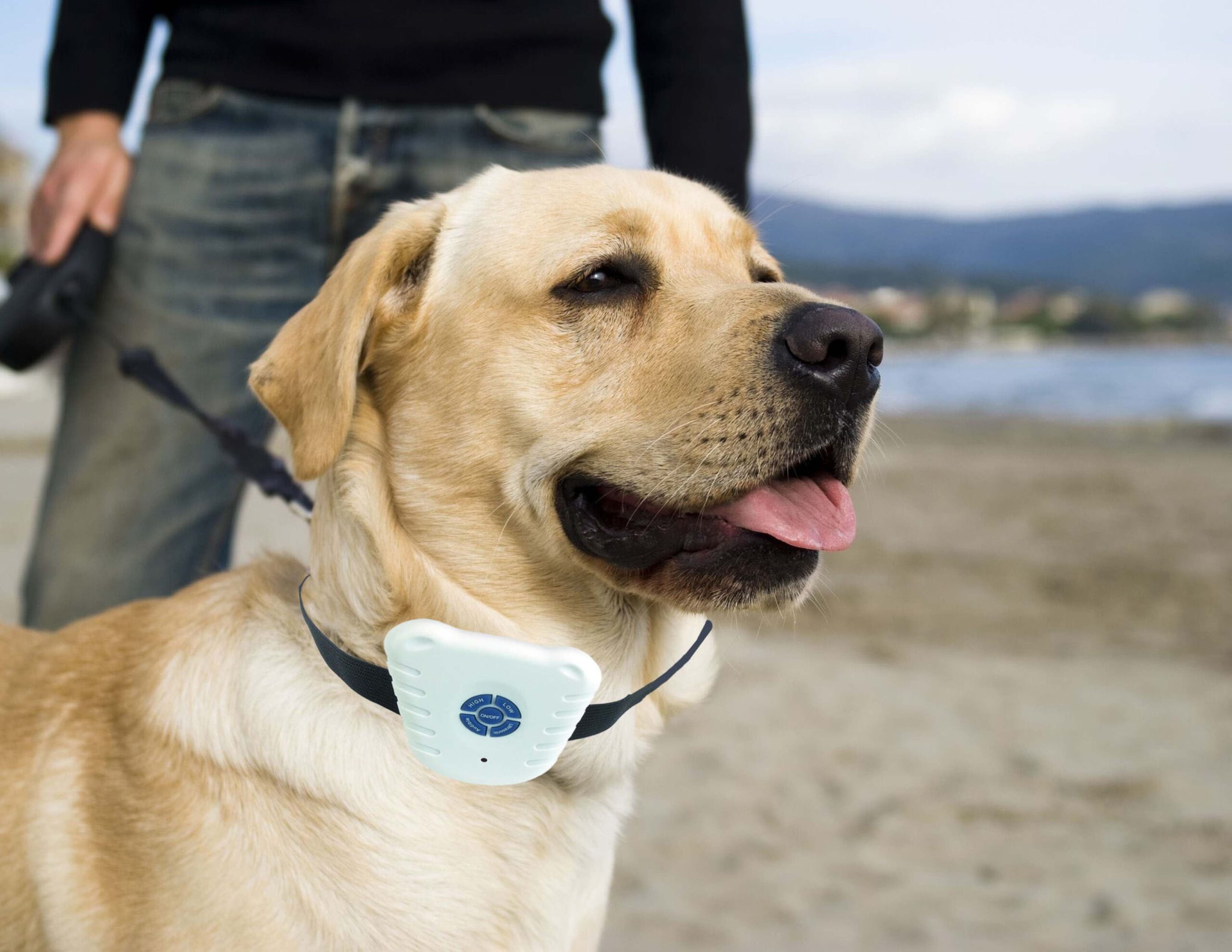 Pet Life ® Aniti-Shock Waterproof Safe Anti-Bark Training Collar Trainer - Image 3