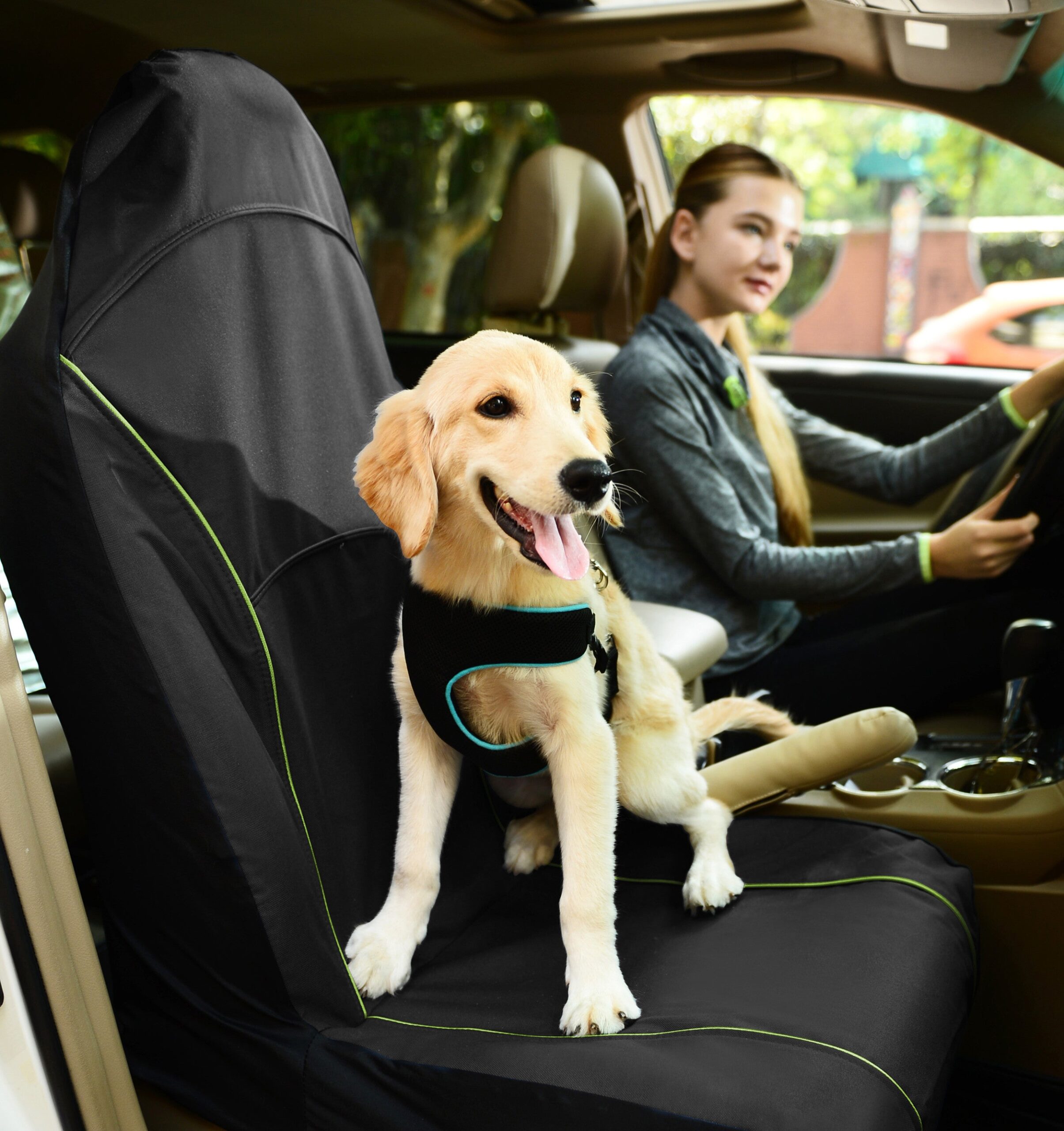 Pet Life ® 'Open Road' Single Seated Safety Child Pet Cat Dog Car Seat Carseat Cover Protector - Image 2
