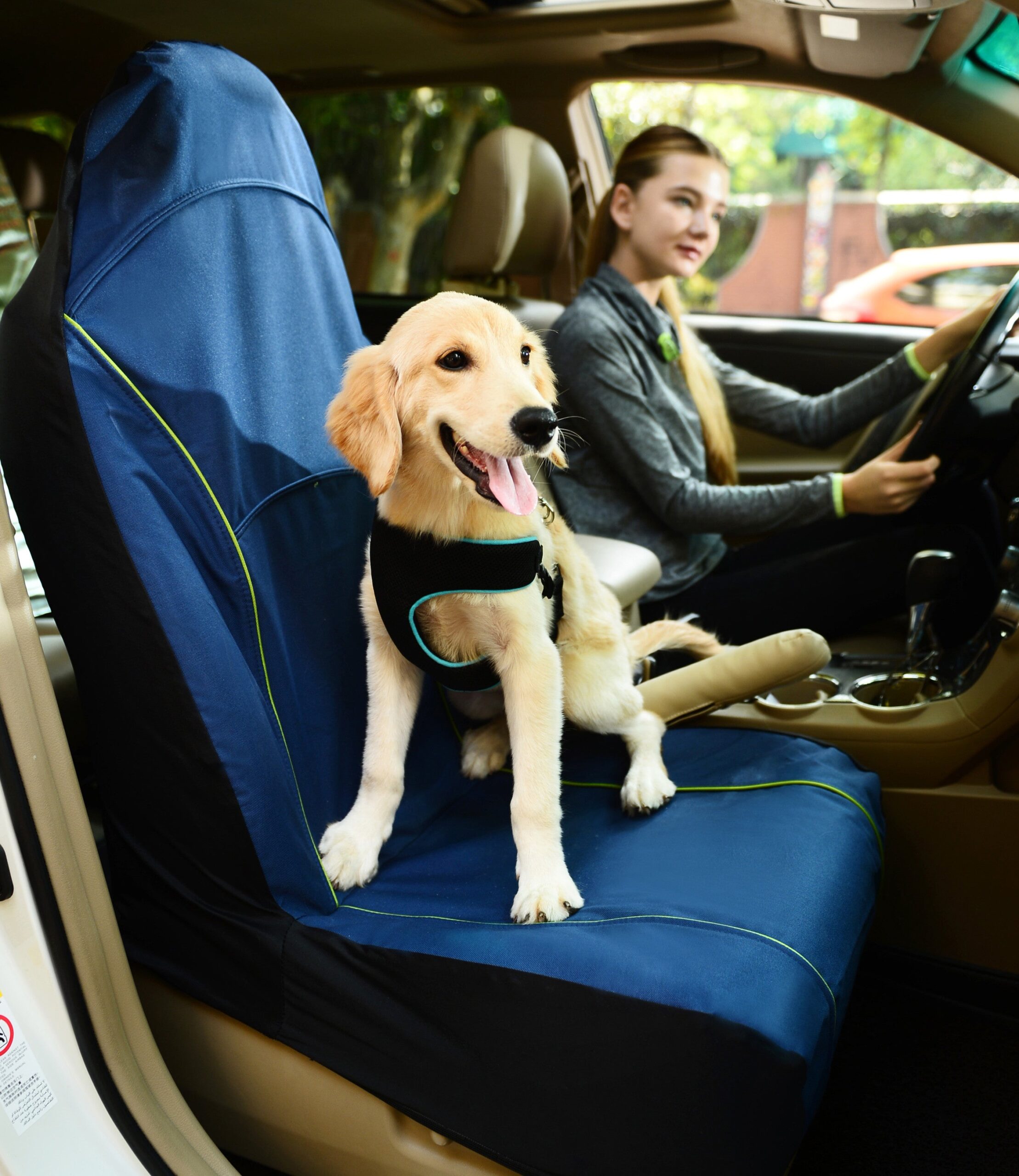 Pet Life ® 'Open Road' Single Seated Safety Child Pet Cat Dog Car Seat Carseat Cover Protector - Image 5