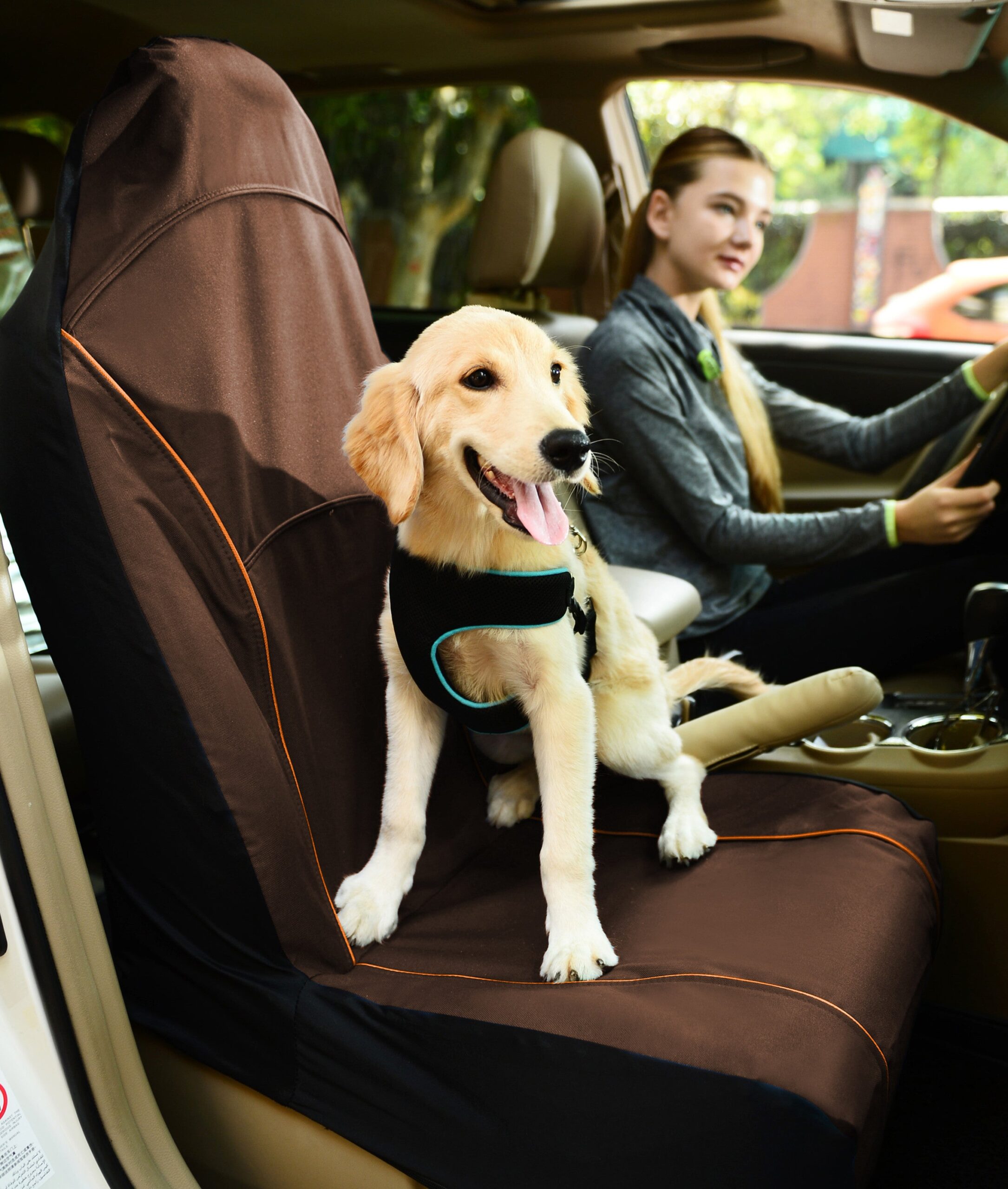 Pet Life ® 'Open Road' Single Seated Safety Child Pet Cat Dog Car Seat Carseat Cover Protector - Image 8