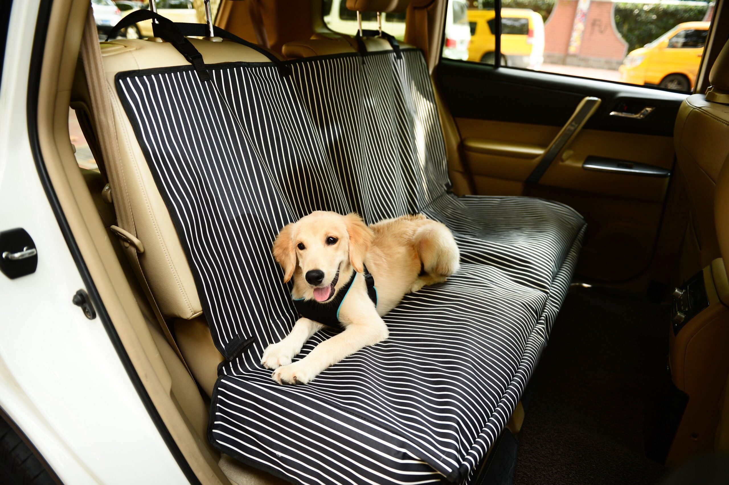 Pet Life ® 'Open Road' Full Back Seat Safety Child Pet Cat Dog Car Seat Carseat Cover Protector - Image 8