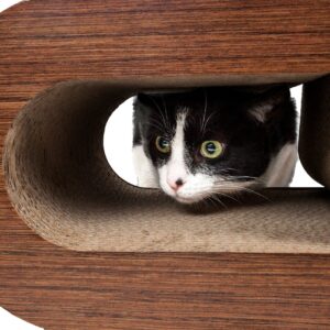 Pet Life ® 2-In-1 'Pill Shaped' Premium Quality Modular Kitty Cat Scratcher Lounger Lounge with Catnip