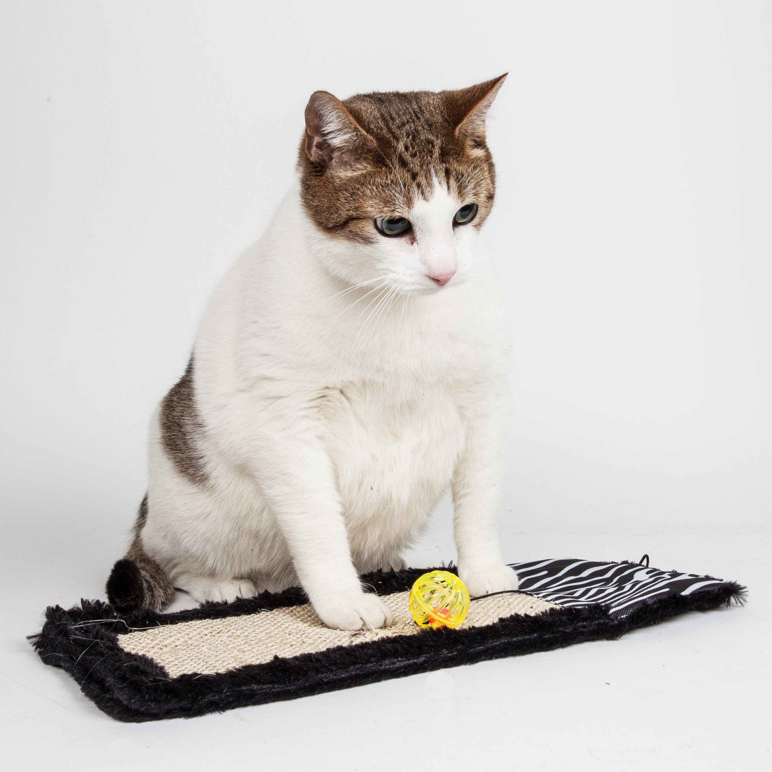 Pet Life ® 'Scrape-Away' Hanging Sisal & Jute Carpet Kitty Cat Scratcher with Toy - Image 3