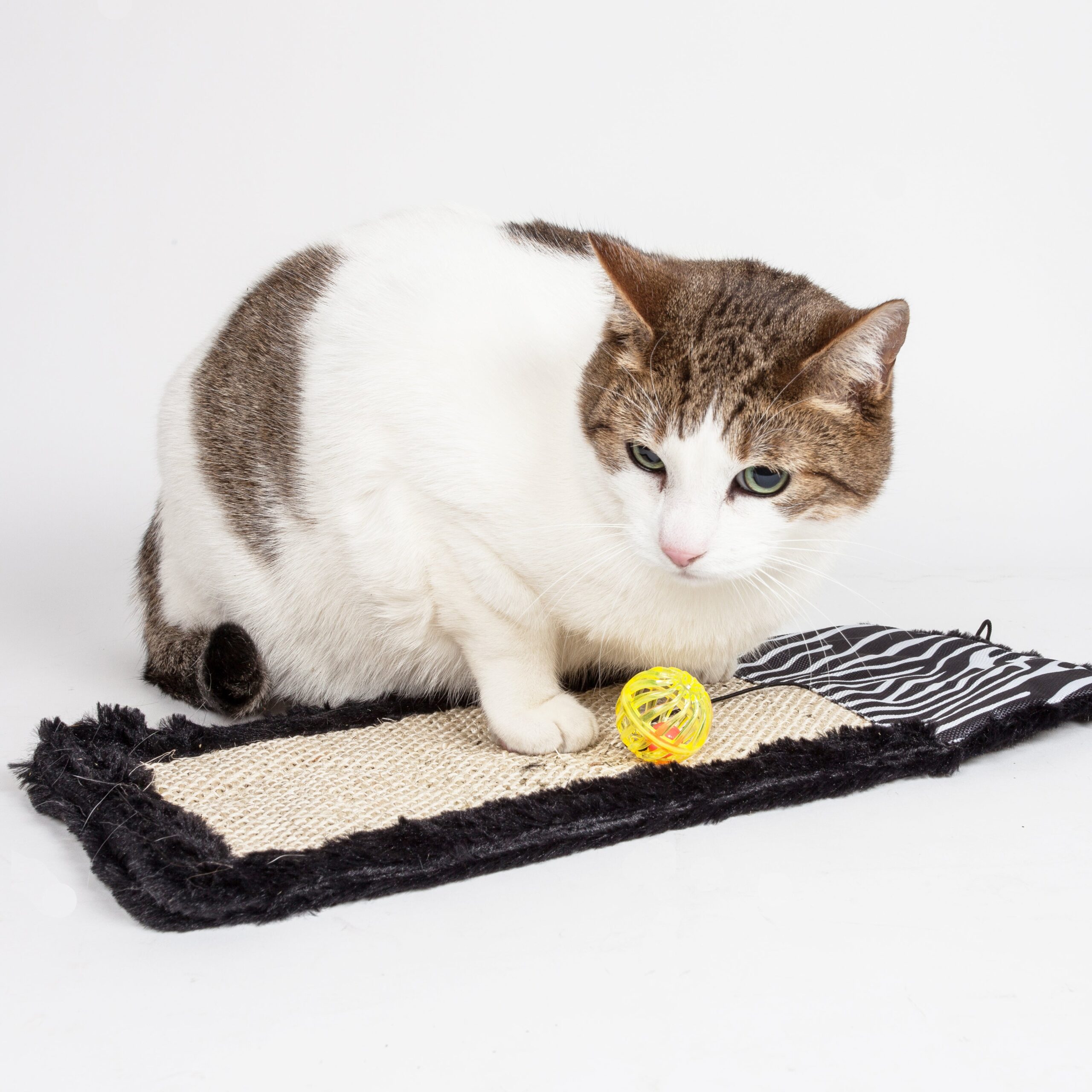 Pet Life ® 'Scrape-Away' Hanging Sisal & Jute Carpet Kitty Cat Scratcher with Toy - Image 5