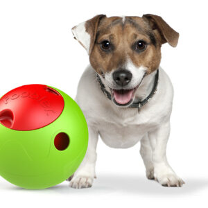 Pet Life ® 'Foobler' Self-Timed Self Reloading Automatic Puzzle Pet Dog Feeder Bowl Dispenser