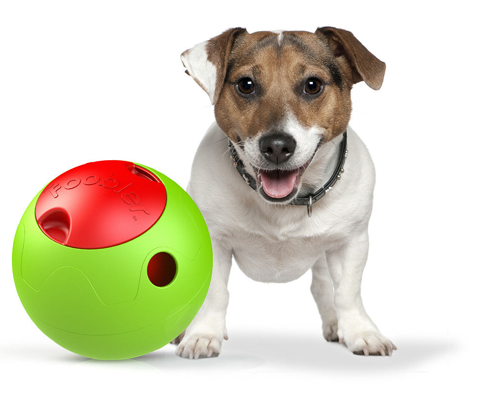 Pet Life ® 'Foobler' Self-Timed Self Reloading Automatic Puzzle Pet Dog Feeder Bowl Dispenser