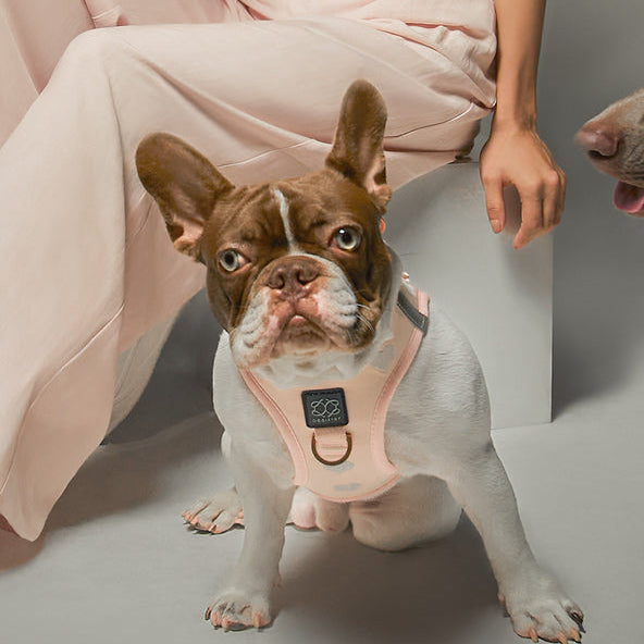 City Leash Set - Sweetheart - Image 3