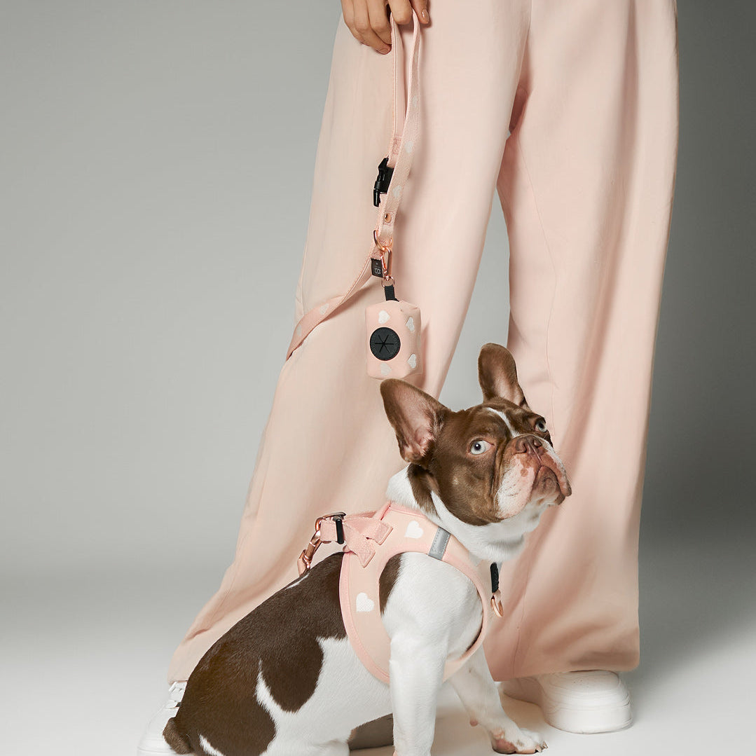 City Leash Set - Sweetheart - Image 2