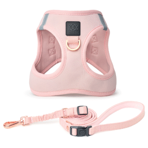 City Leash Set - Blush