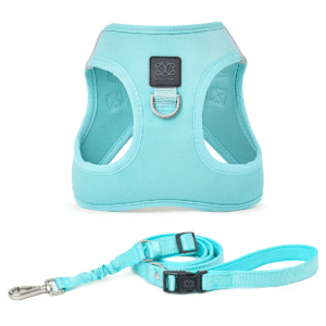 City Leash Set - Fifth Avenue