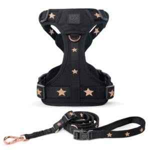 City Leash Set - Rockstar NoMad