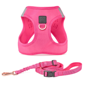 City Leash Set - Park Ave Pink
