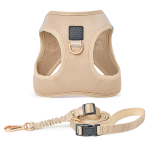 City Leash Set - Dune