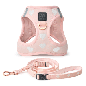 City Leash Set - Sweetheart