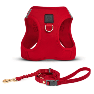 City Leash Set - Iconic Red