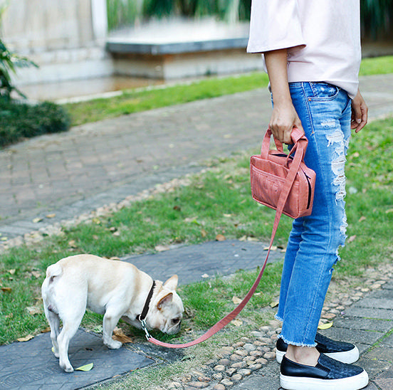 Pet Life ® 'Posh Walk' Purse Dog Leash, Accessory Holder and Waste Bag Dispenser - Image 6