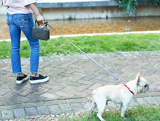 Pet Life ® 'Posh Walk' Purse Dog Leash, Accessory Holder and Waste Bag Dispenser - Image 9