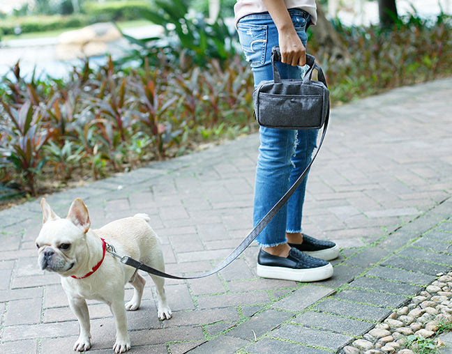 Pet Life ® 'Posh Walk' Purse Dog Leash, Accessory Holder and Waste Bag Dispenser - Image 10