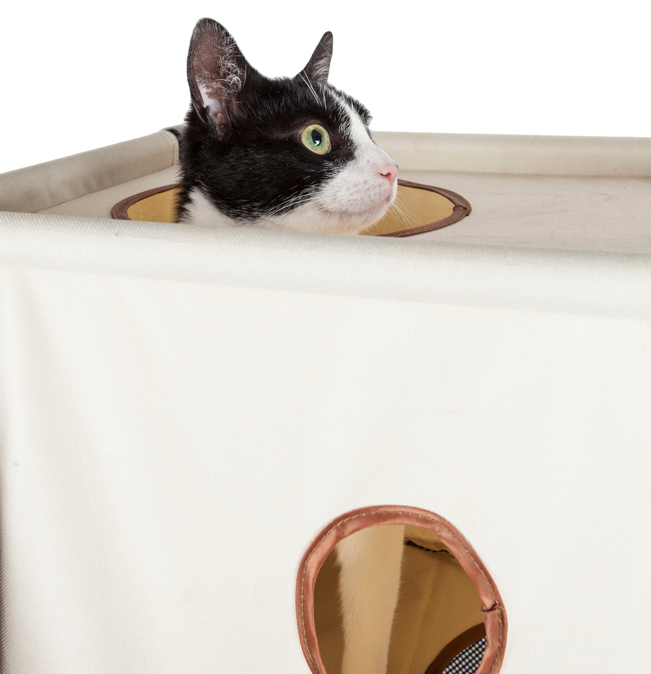 Pet Life ® 'Kitty-Square' Collapsible Travel Interactive Kitty Cat Tree Maze House Lounger Tunnel Lounge - Image 9