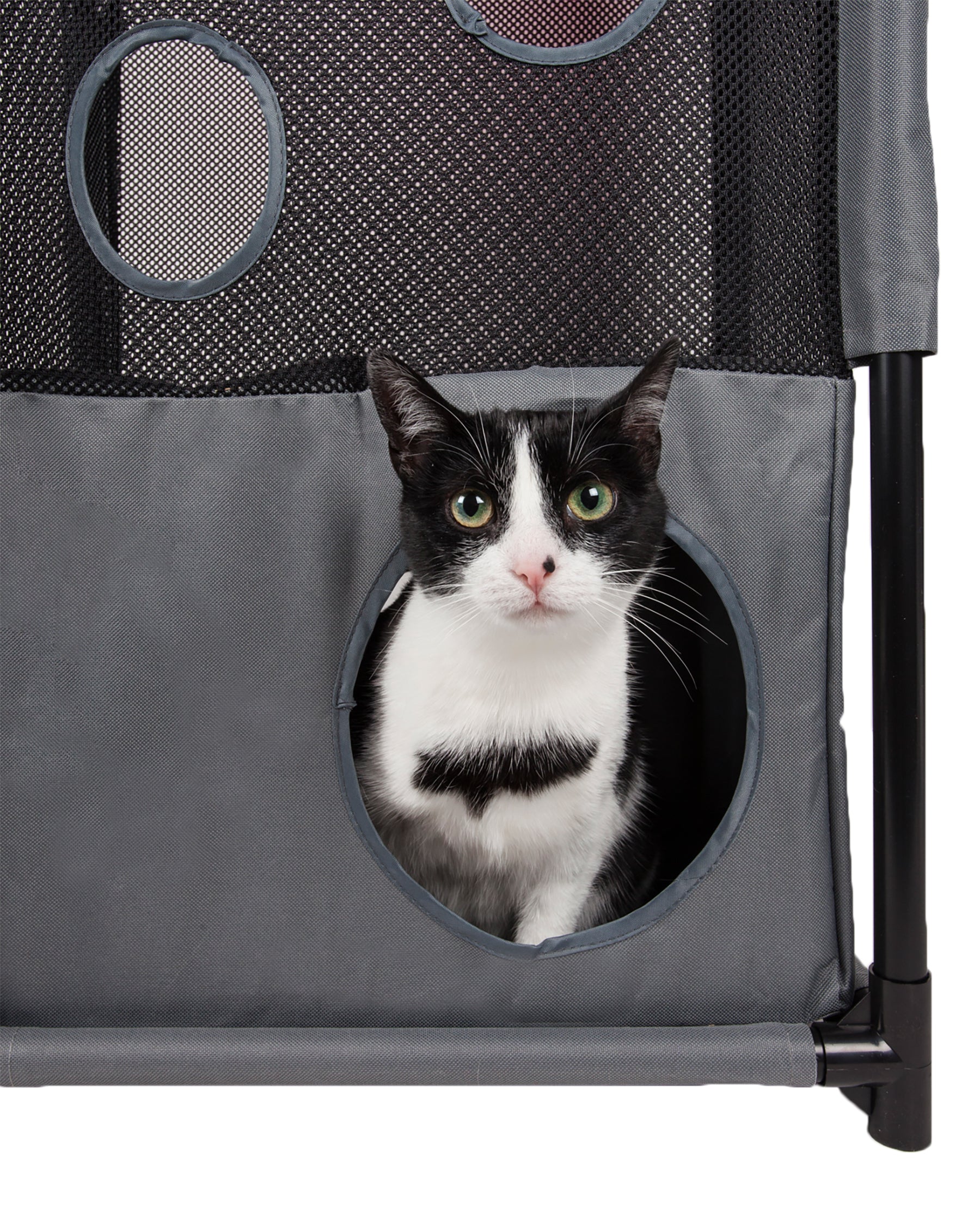 Pet Life ® 'Kitty-Square' Collapsible Travel Interactive Kitty Cat Tree Maze House Lounger Tunnel Lounge - Image 15