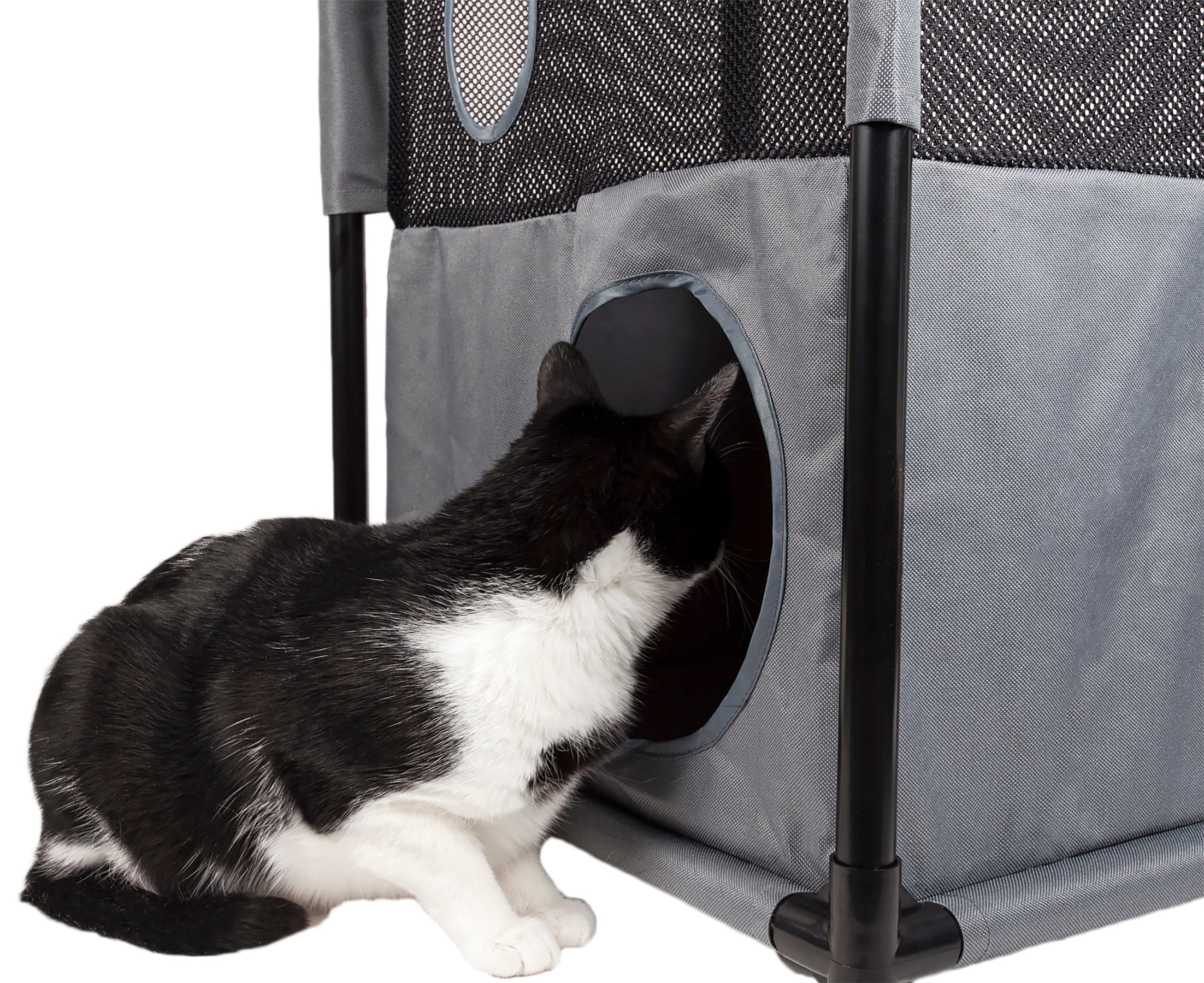 Pet Life ® 'Kitty-Square' Collapsible Travel Interactive Kitty Cat Tree Maze House Lounger Tunnel Lounge - Image 16