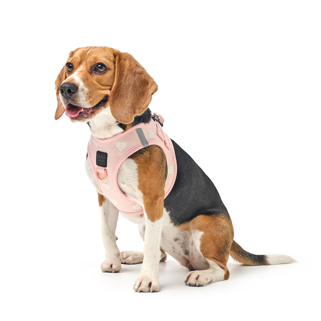 City Leash Set - Sweetheart - Image 6