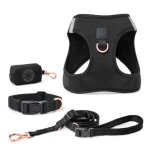 SoHo Complete Dog Walking Set - Black