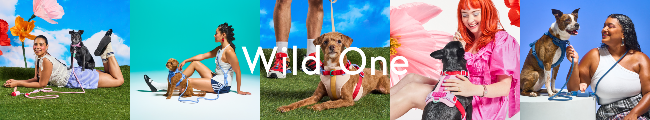 Wild One