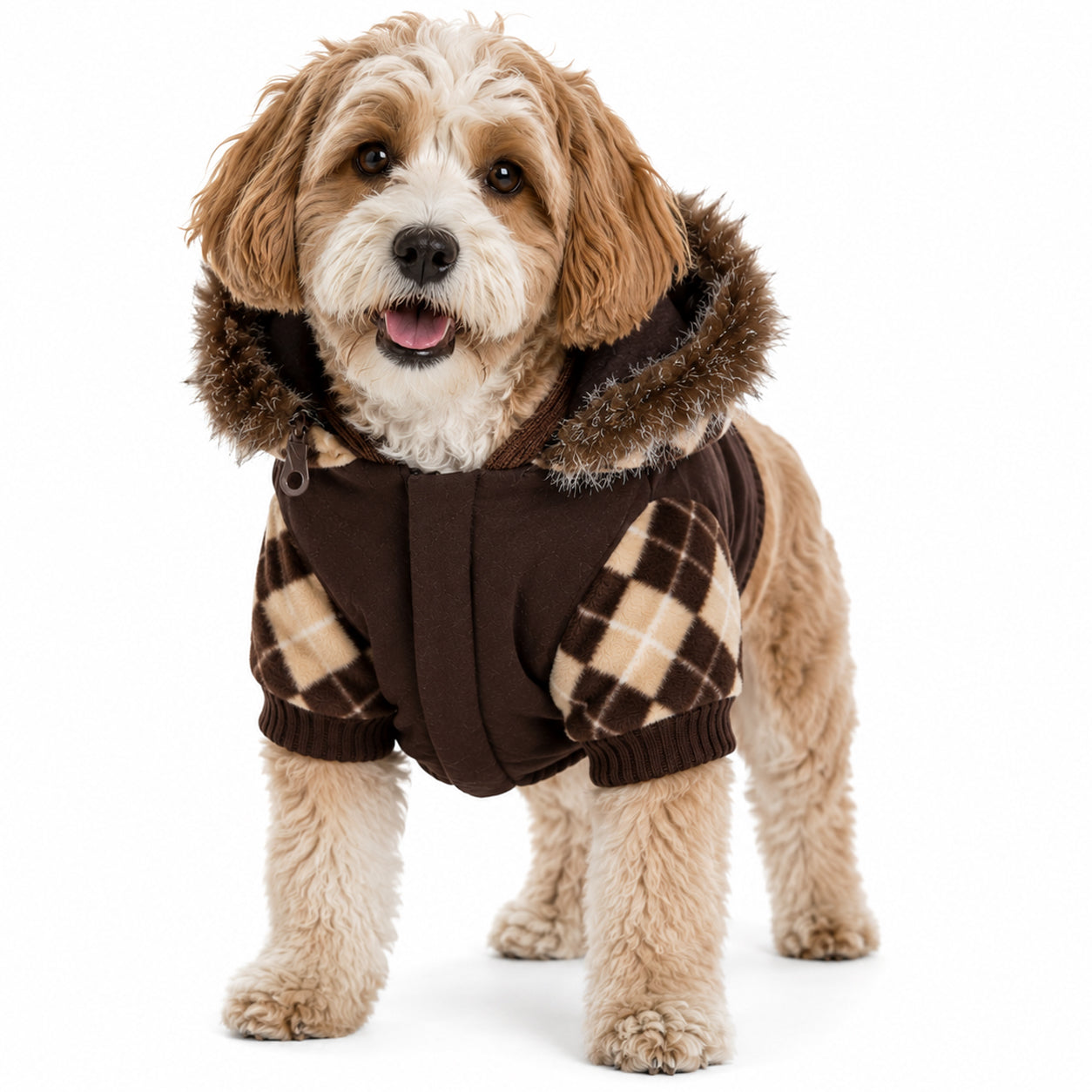 Pet Life ® 'Aygyle Style' 3M Insulated Designer Patterned Suede Dog Coat w/ Removable Hood - Image 6