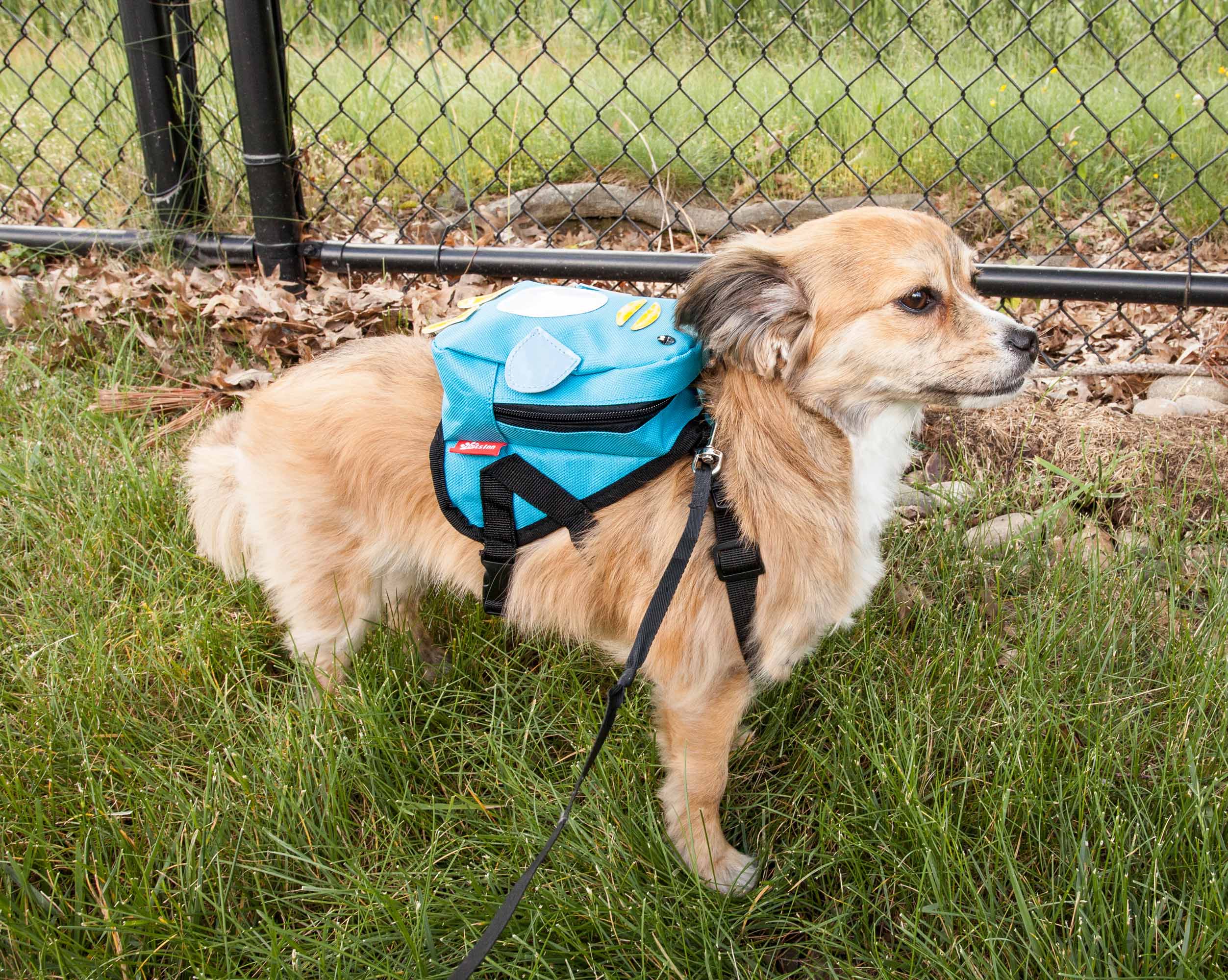 Pet Life ® 'Waggler Hobbler' Large-Pocketed Compartmental Animated Dog Harness Backpack - Image 13