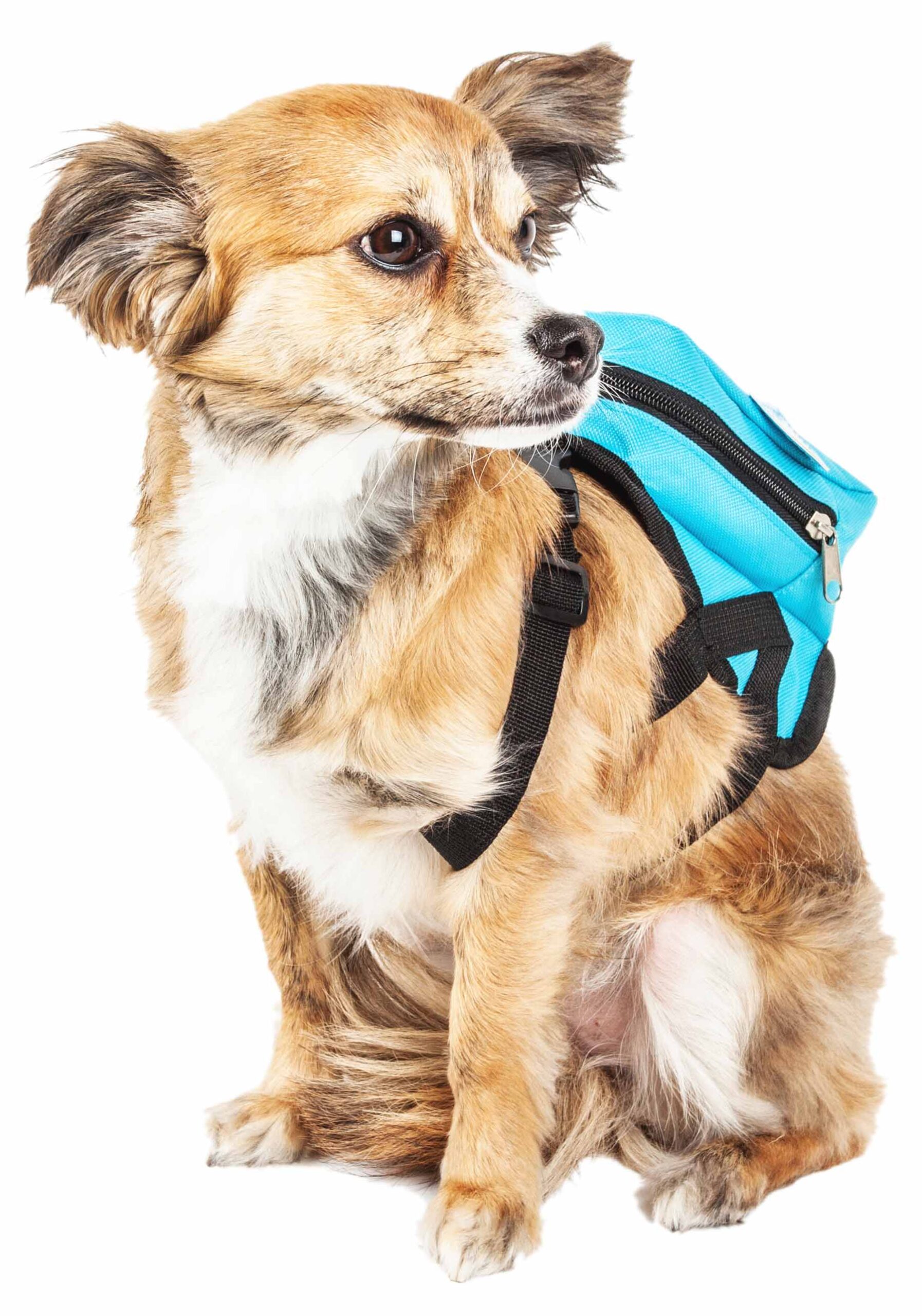 Pet Life ® 'Waggler Hobbler' Large-Pocketed Compartmental Animated Dog Harness Backpack - Image 5