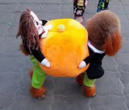 Pet Life 'Pumpkin Mon' Halloween Pet Dog Costume - Image 7