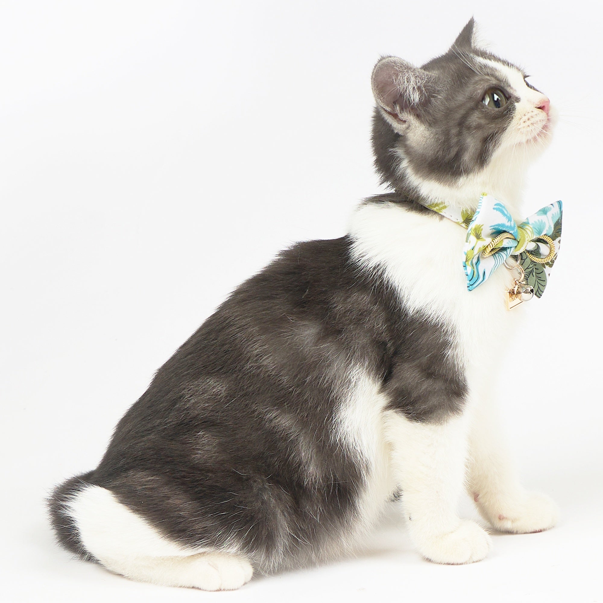 Touchcat ® Tropical Patterned Designer Cat Collar with Bow - Image 4