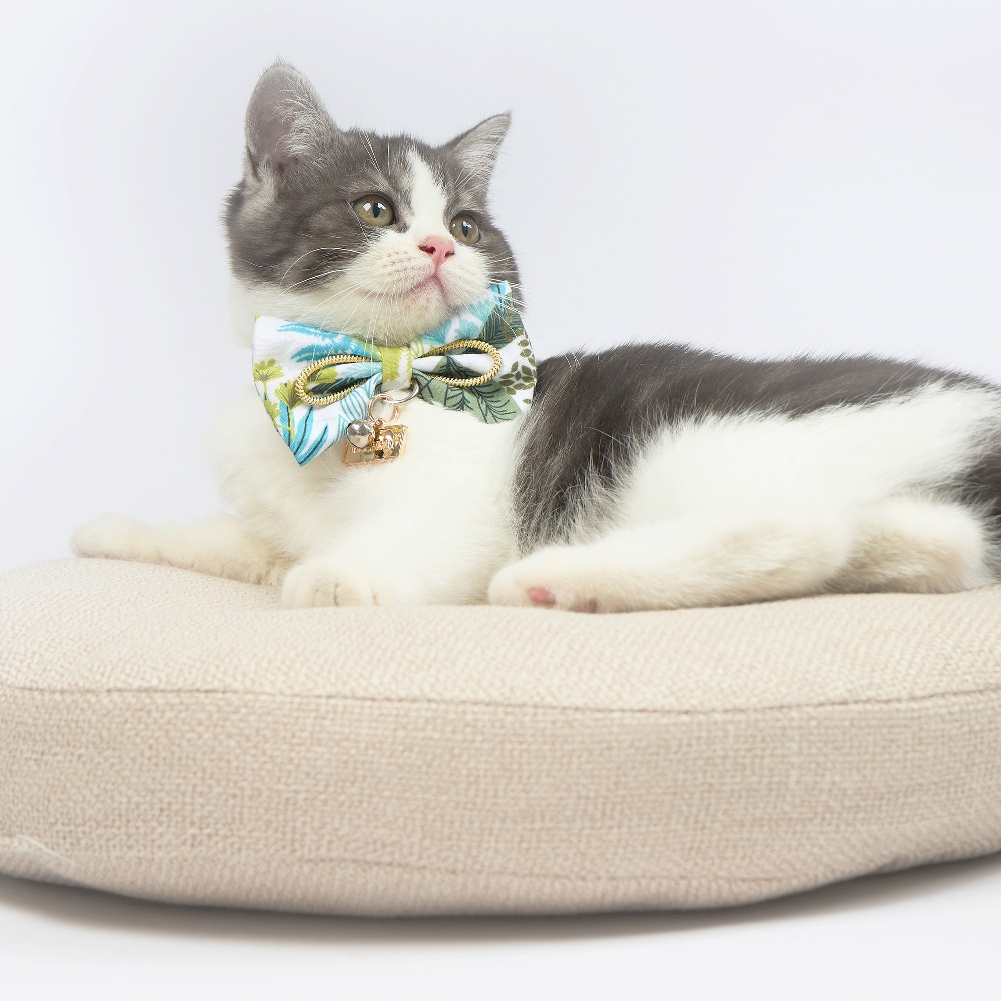 Touchcat ® Tropical Patterned Designer Cat Collar with Bow - Image 5