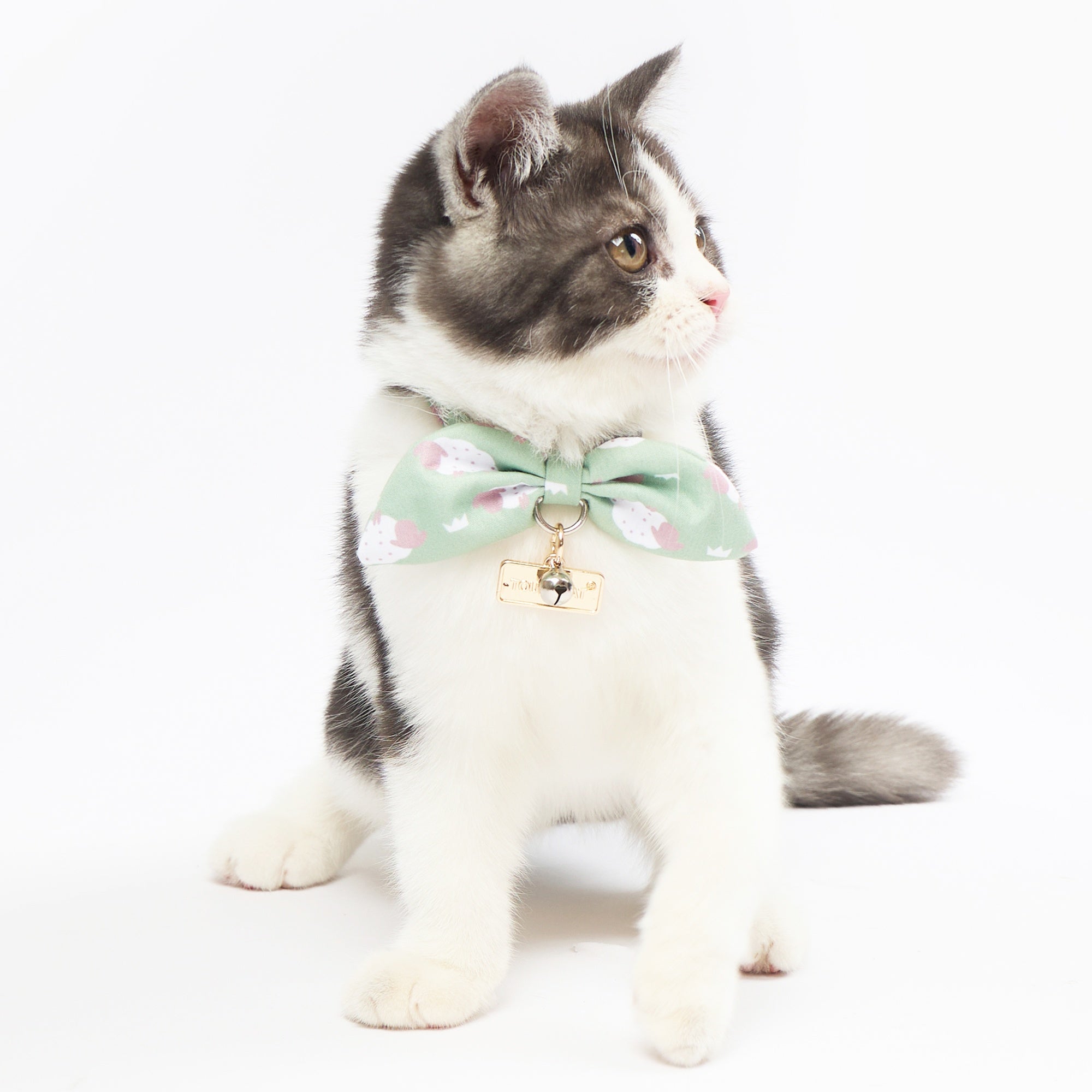 Touchcat ® Shepherd Patterned Designer Cat Collar with Bow - Green