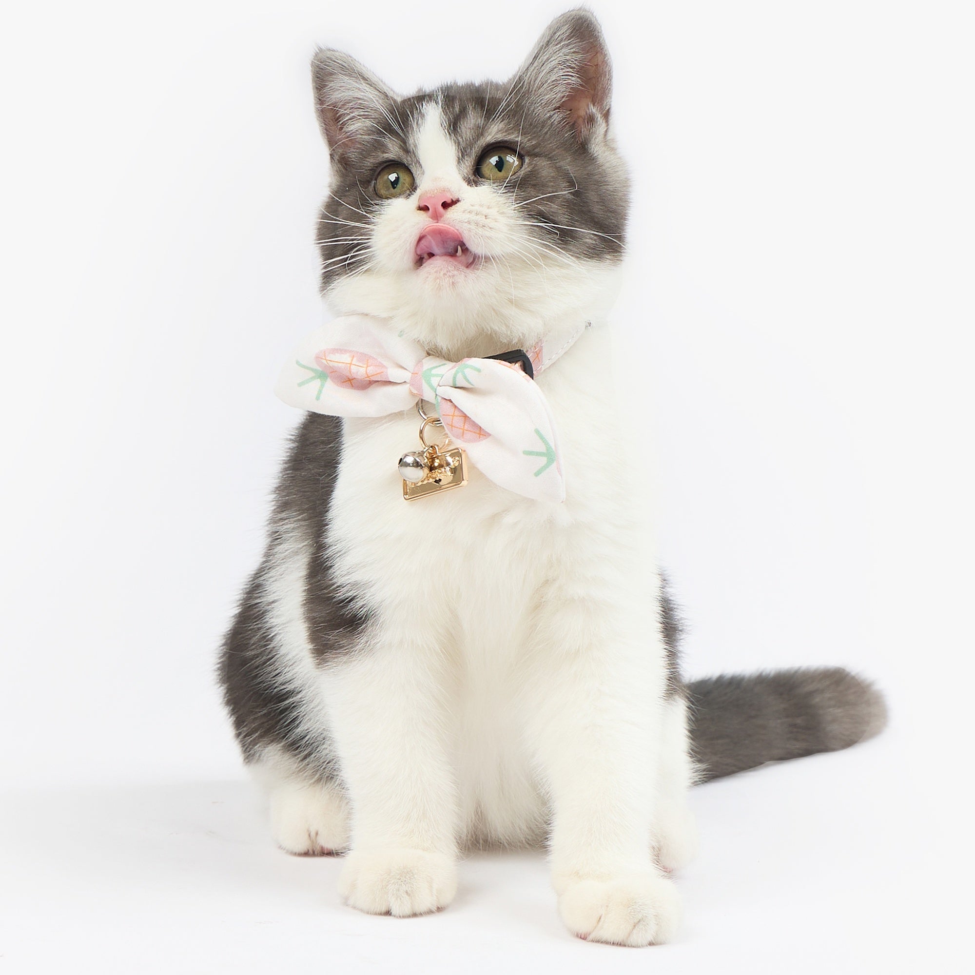 Touchcat ® Pineapple Patterned Designer Cat Collar with Bow - Pink - Image 2