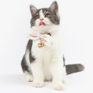 Touchcat ® Pineapple Patterned Designer Cat Collar with Bow - Pink