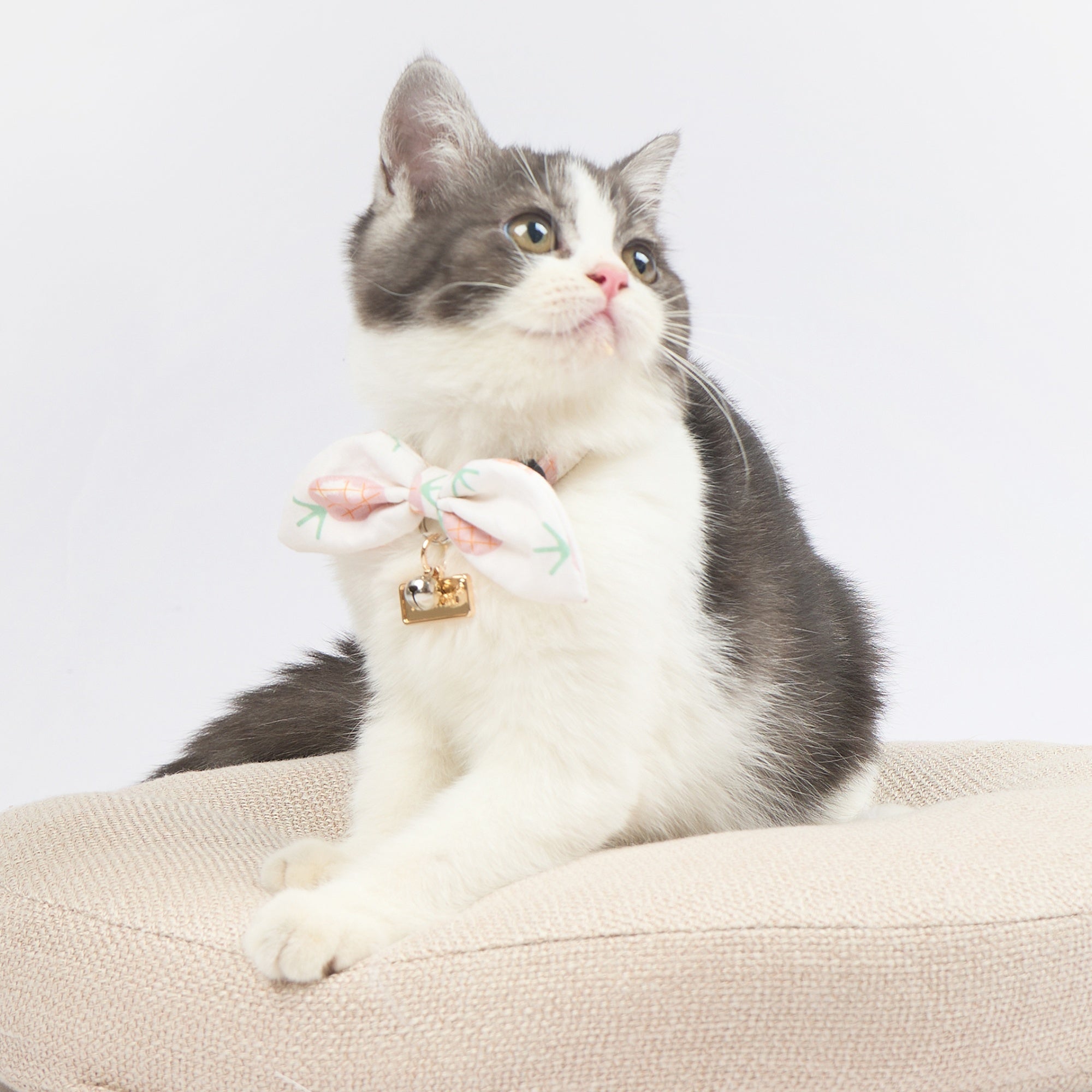 Touchcat ® Pineapple Patterned Designer Cat Collar with Bow - Pink - Image 5