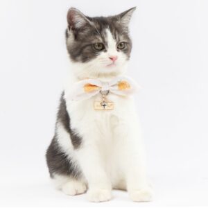 Touchcat ® Pineapple Patterned Designer Cat Collar with Bow - Yellow