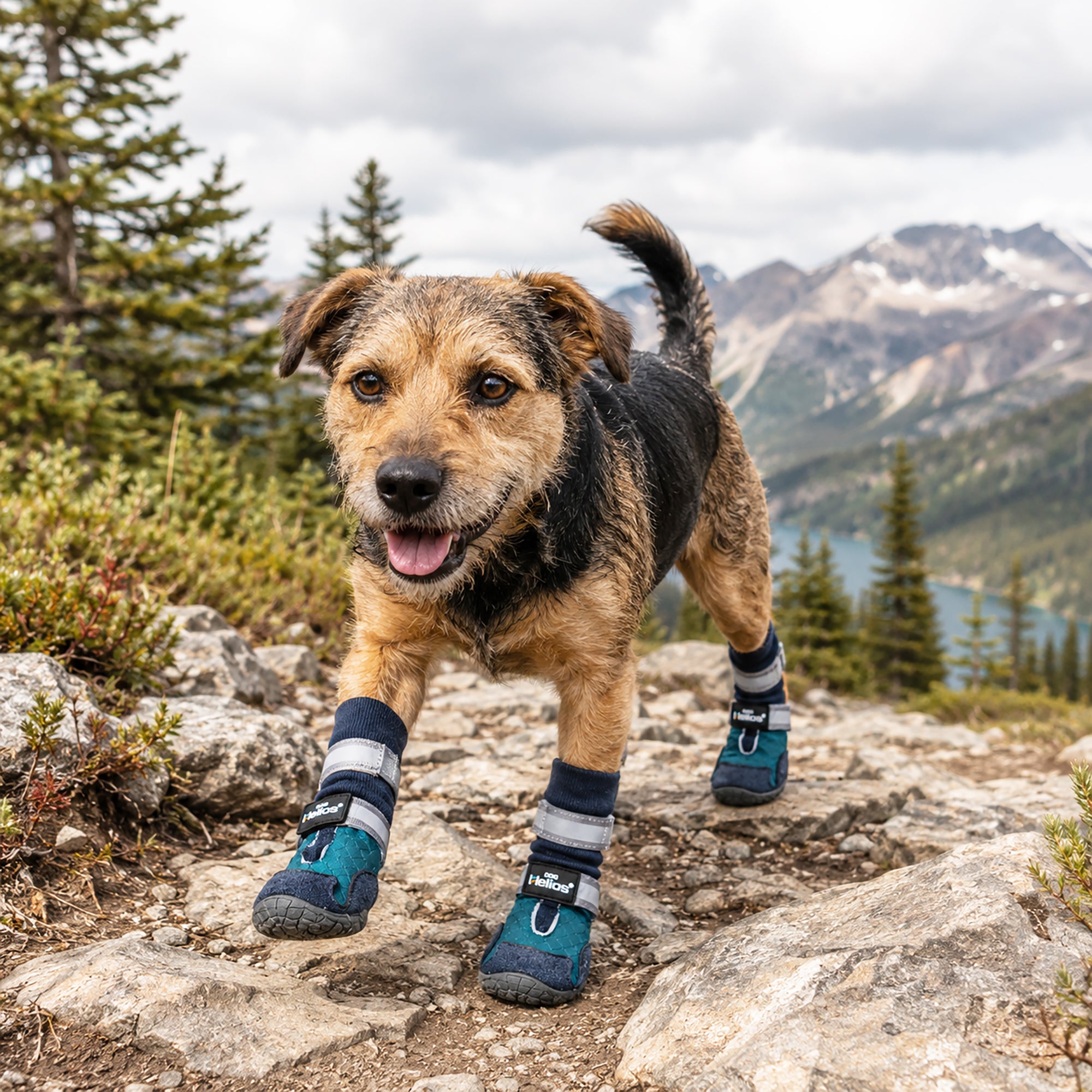 Dog Helios 'Traverse' Premium Grip High-Ankle Outdoor Dog Boots - Blue - Image 5